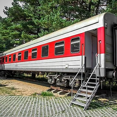 Auberge de jeunesse Palanga Camping Hostel *